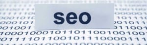 SEO Expert Witness in California